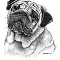 Snuggly Puggly
