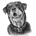 Faithful Friend