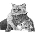 Threes Company